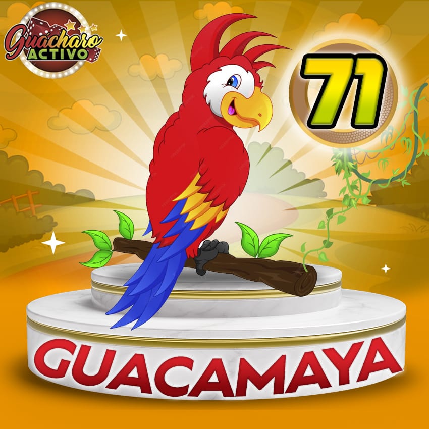71 Guacamaya Guacharo Activo