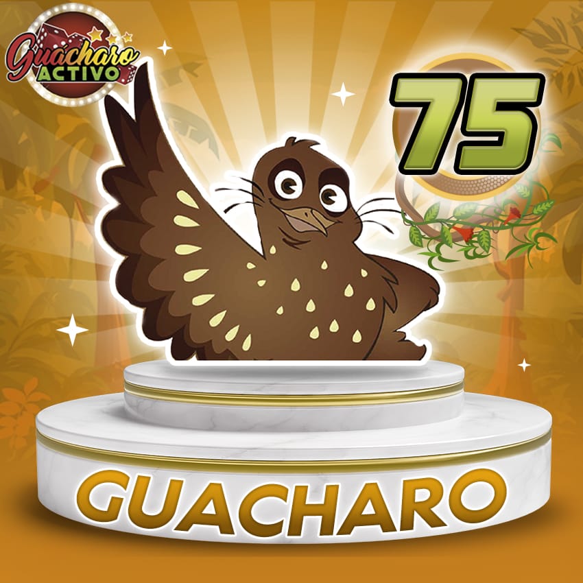 75 Gu&aacute;charo (Comod&iacute;n) Guacharo Activo