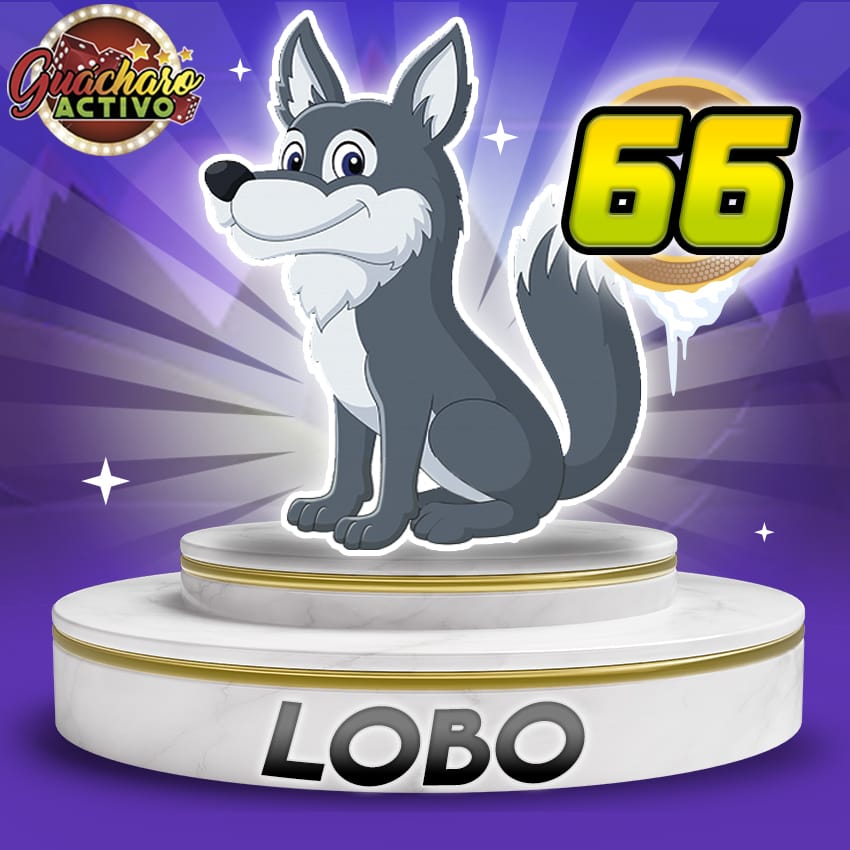 66 Lobo Guacharo Activo