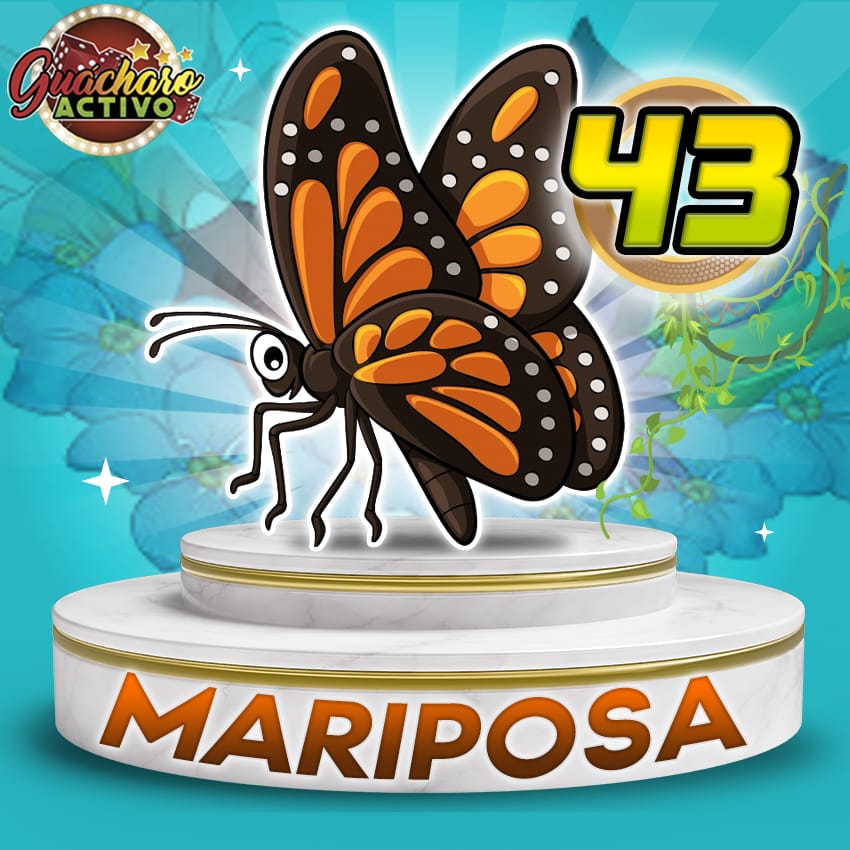 43 Mariposa Guacharo Activo