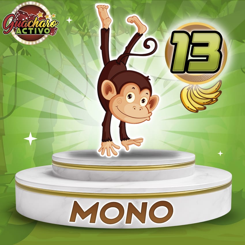 13 Mono Guacharo Activo