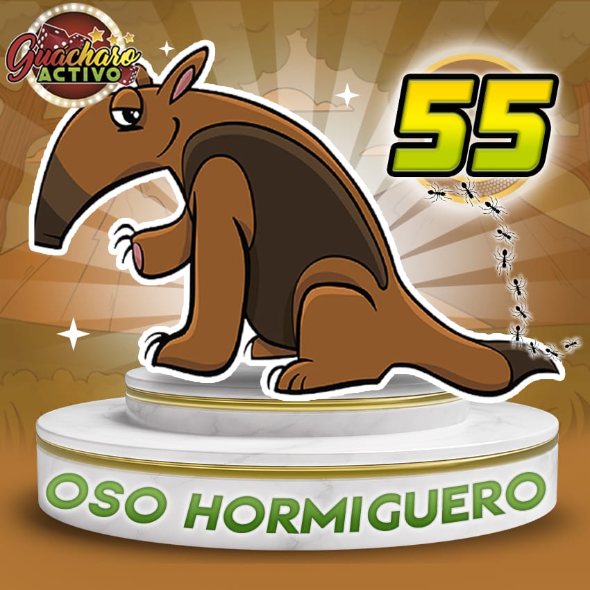 55 Oso Hormiguero Guacharo Activo