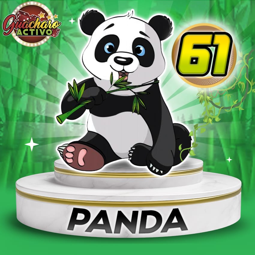 61 Panda Guacharo Activo