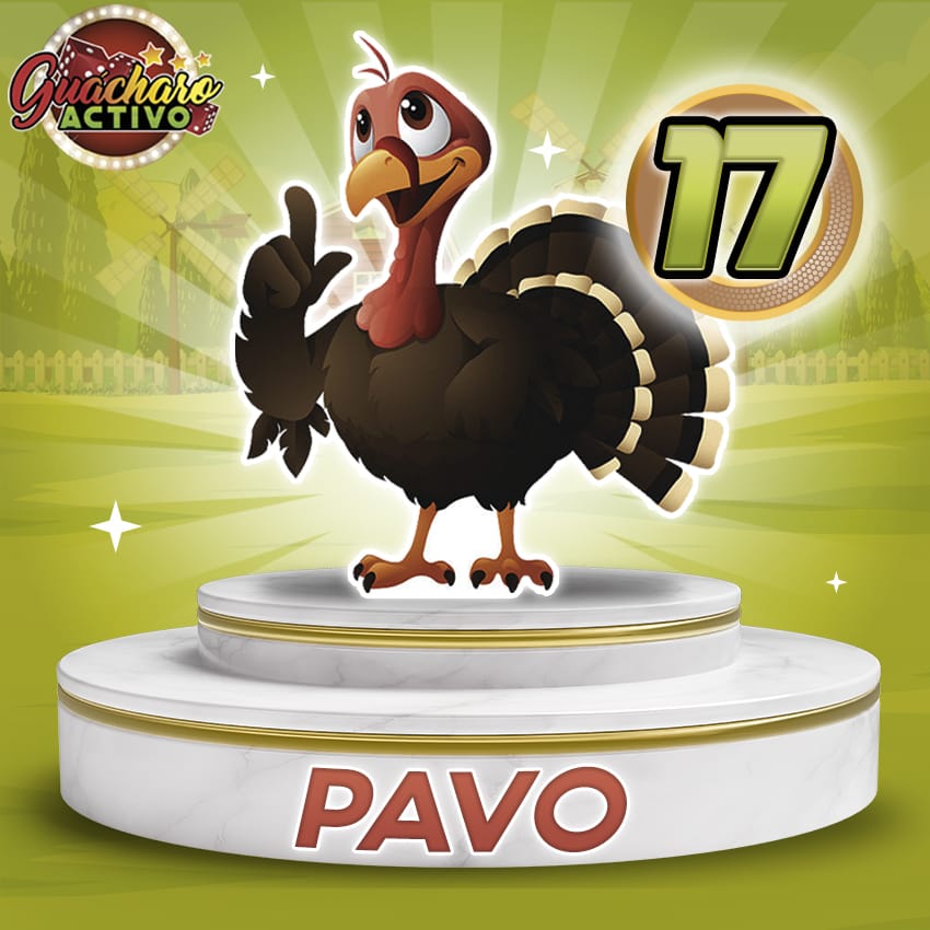 17 Pavo Guacharo Activo
