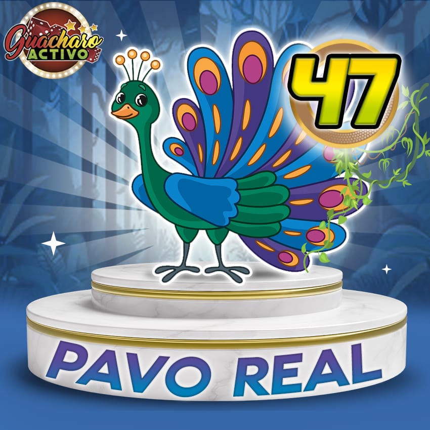 47 Pavo Real Guacharo Activo