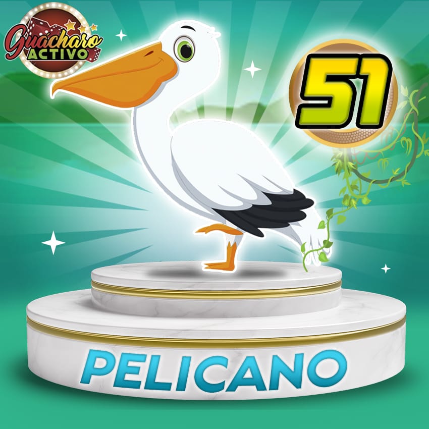 51 Pelicano Guacharo Activo