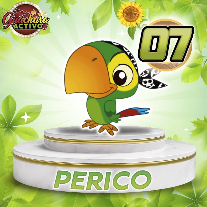 7 Perico Guacharo Activo