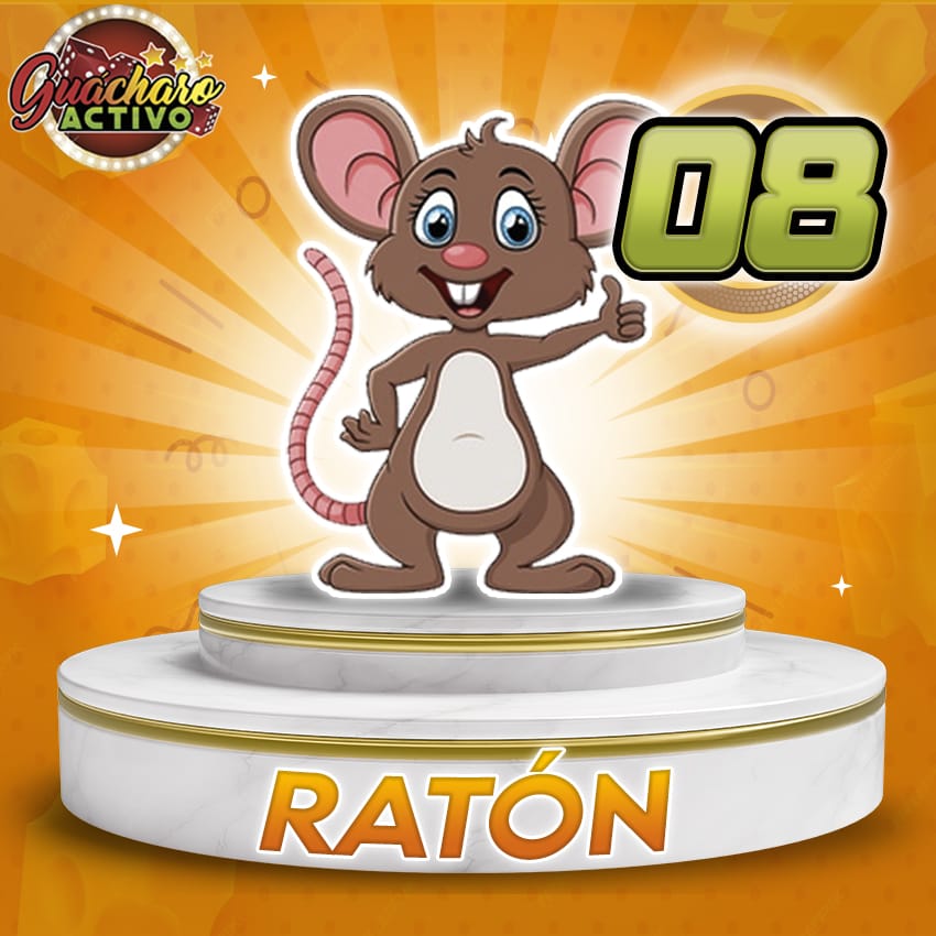 8 Raton Guacharo Activo