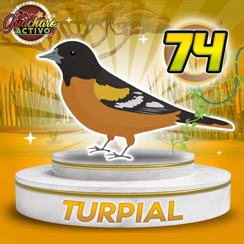 74 Turpial Guacharo Activo