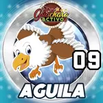 Animalito Águila número 9 - Loto Chaima 28 de Agosto de 2026