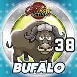 Animalito Búfalo número 38 - Loto Chaima 28 de Agosto de 2026