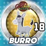 Animalito Burro número 18 - Loto Chaima 09 de Septiembre de 2026