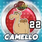 Animalito Camello número 22 - Loto Chaima 09 de Septiembre de 2026