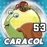 Animalito Caracol número 53 - Loto Chaima 28 de Agosto de 2026