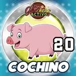 Animalito Cochino número 20 - Loto Chaima 09 de Septiembre de 2026