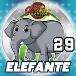 Animalito Elefante número 29 - Loto Chaima 30 de Octubre de 2026