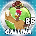 Animalito Gallina número 25 - Loto Chaima 28 de Agosto de 2026
