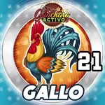 Animalito Gallo número 21 - Loto Chaima 30 de Octubre de 2026