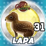 Animalito Lapa número 31 - Loto Chaima 28 de Agosto de 2026