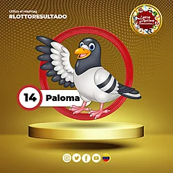 Animalito Paloma número 14 - Lotto Activo RD Internacional 12 de Octubre de 2026