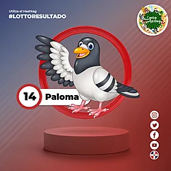 Animalito Paloma número 14 - Lotto Activo RDominicana 15 de Septiembre de 2026