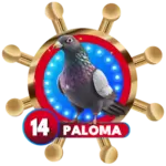 Animalito Paloma número 14 - Mega Animal 40 09 de Septiembre de 2026