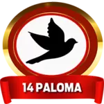 Resultado