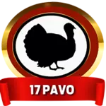 Resultado