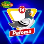 Animalito Paloma número 14 - Selva Plus 26 de Agosto de 2026