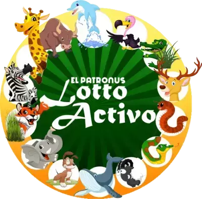 Loto Chaima